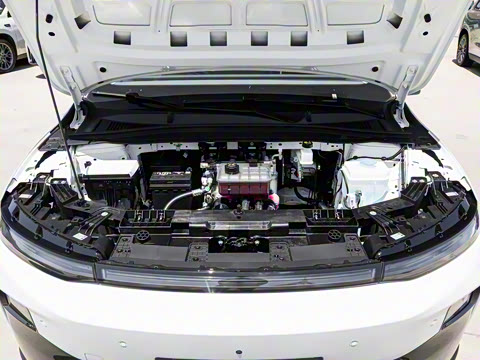 2025�� 550�����״��