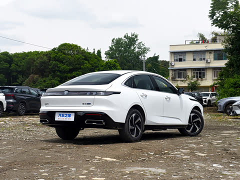 2026�� 1.5L �������� ������