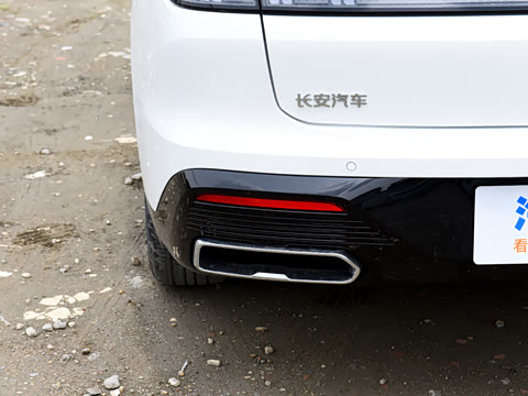 2026�� 1.5L �������� ������