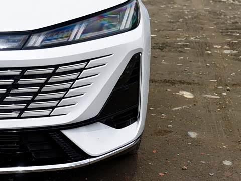 2026�� 1.5L �������� ������