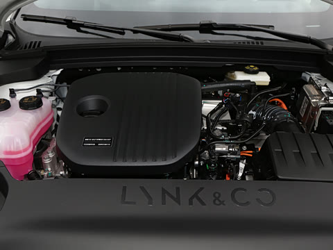 2026�� 126������ Max