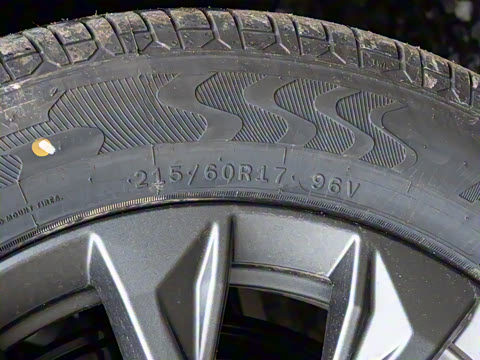 2026�� Ӱ�� 270T ��ȡ��