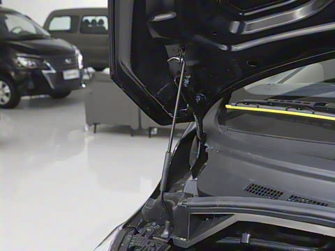 2025�� 1.5T �ֶ������� 7��