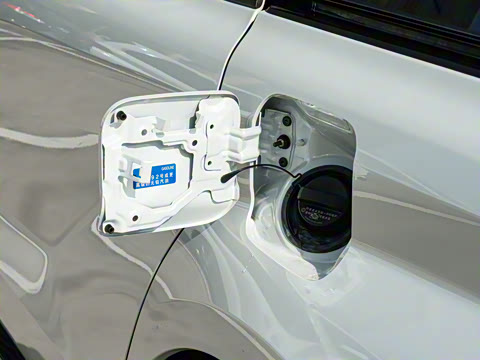 2026�� 2.5L ˫����������