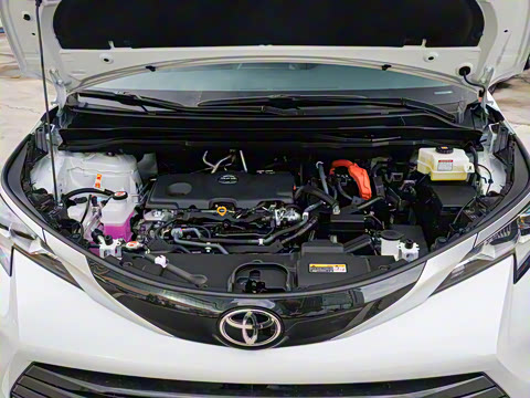 2026�� 2.5L ˫������������