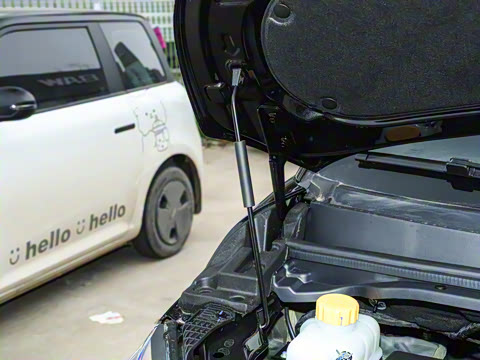 2026�� 1.6L �ֶ���������� 7��