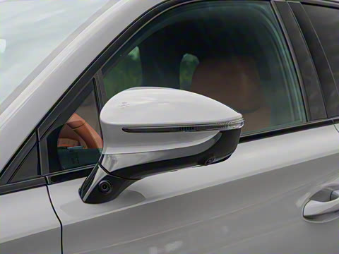 2025�� �Ǽݰ� DM-i 175KM ������