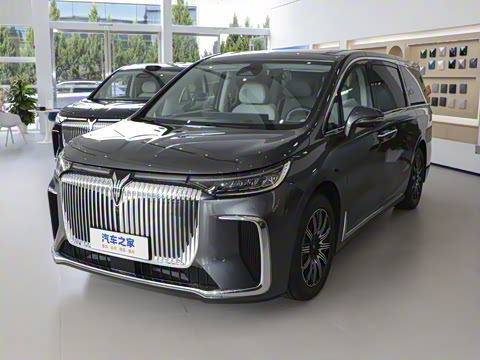 2025�� EV �������������