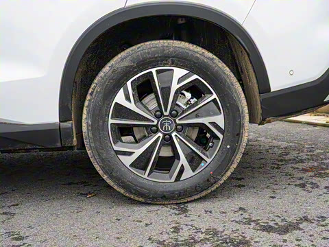 2026�� DM-i 133KM��Խ��