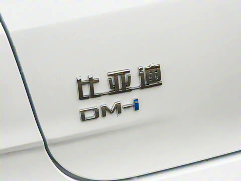 2026�� DM-i 128KM������