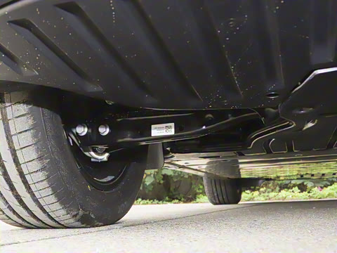 2026��  PURE+��