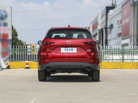 2025�� 2.0L �Զ���������Pro