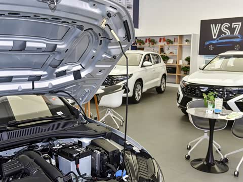 2026�� 1.4T �Զ����а�