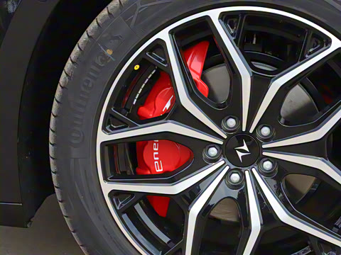 2025�� ���� 230Pro�캽��