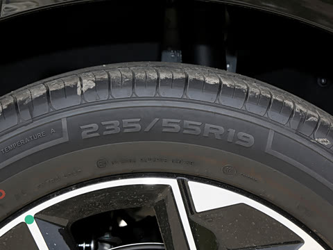 2026�� 230��������Max