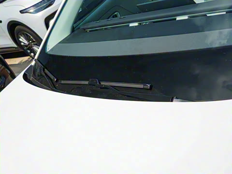 2025�� 550������