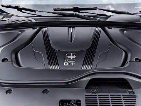 2025�� �Ǽݰ� DM-i 175KM ������