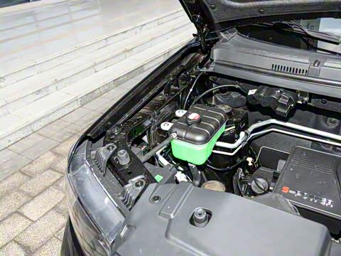 2025�� 1.5L ������