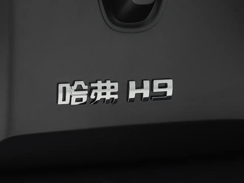 2026�� 2.4T ��������������
