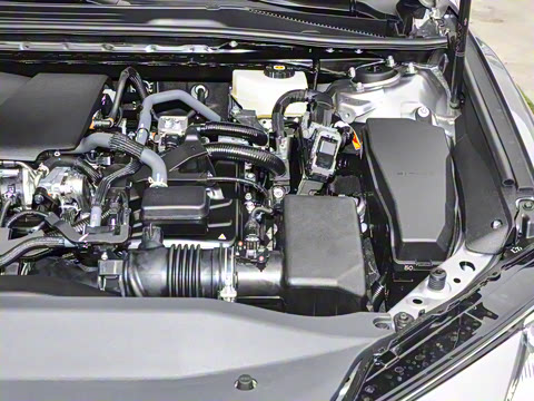 2026�� ˫�� 2.0HXS �˶�Plus��