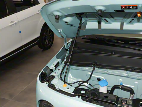 2025�� ������