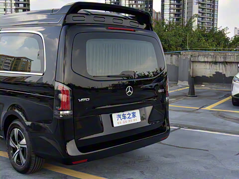 2025�� ���ʰ�