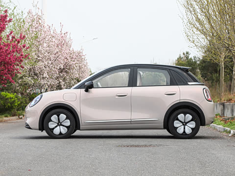 2026�� 330km ������