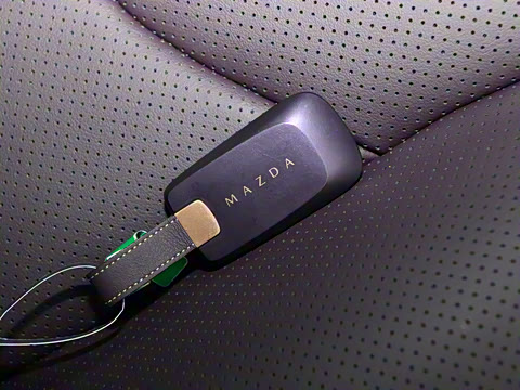 2025�� ����600 Max