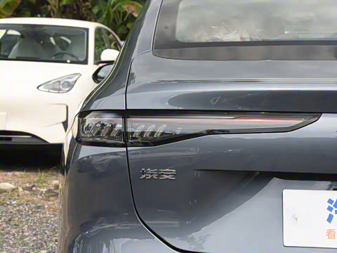 2026�� 520�Ǻ���