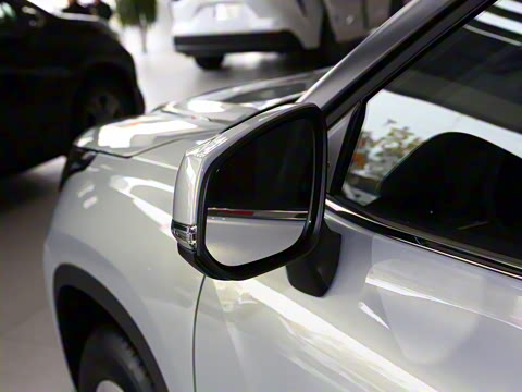 2026�� 2.5L���ܵ��˫��������Ӣ�� 5��