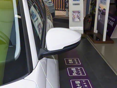 2026�� Pro 300TSI �������