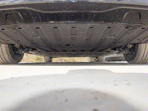 2025�� 650������