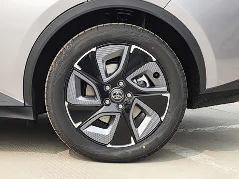 2026�� ������ JOY