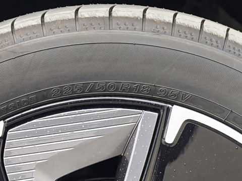 2026�� ������ JOY