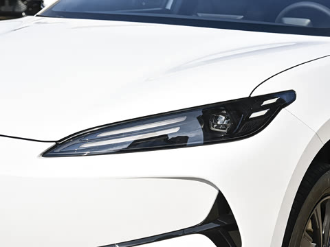 2026�� �����