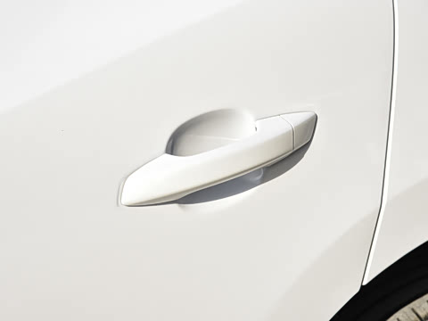 2026�� �����