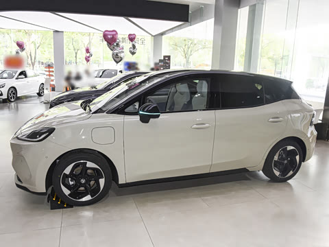 2026�� �Ŀ� 437 ���ɰ�