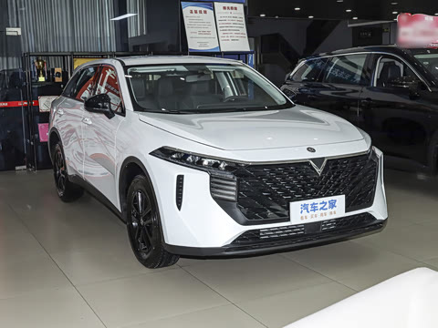 2026�� 260T ���ǰ� Pro