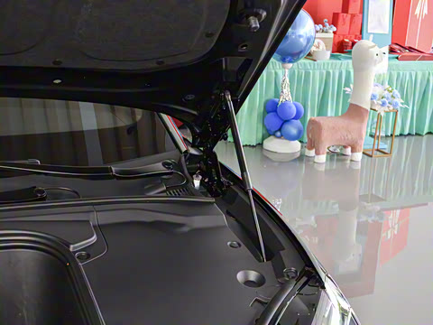 2025�� 600 ��ѡ��