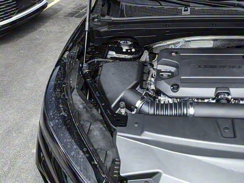 2026�� ������Plus ����Avenir��ά��