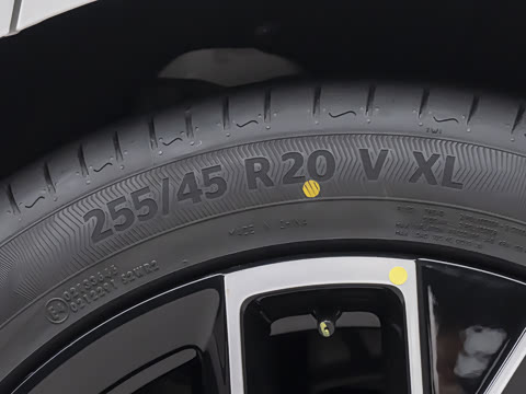 2026�� Max ˫��������