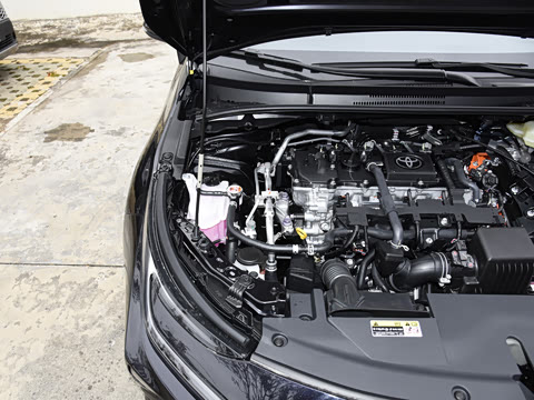 2026�� 1.8L ˫�� �ȷ��