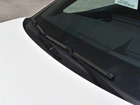 2026�� ˫�� 2.0HXS �˶�Plus��