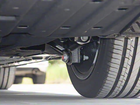 2025�� 550������