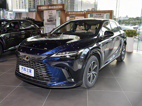 2026�� 300 ����������