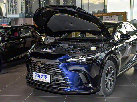 2026�� 300 ����������