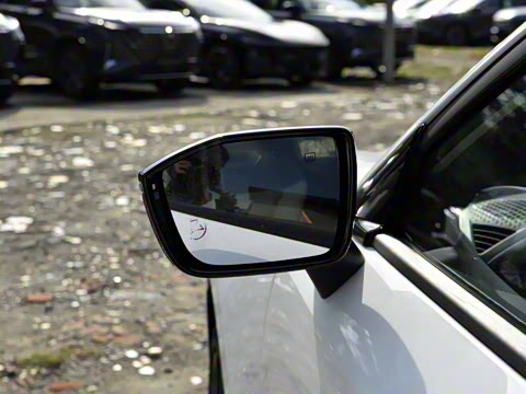 2025�� ������ 1.5T 500Bar�����