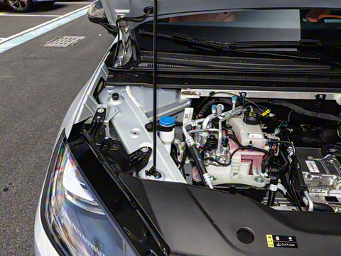 2026�� 520������