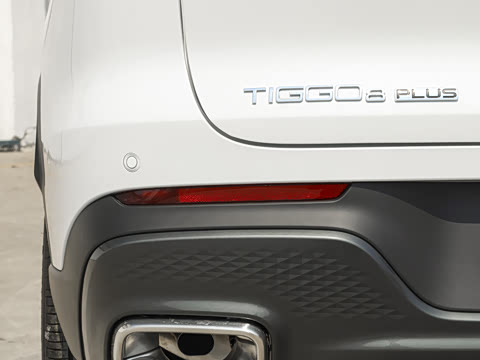 2026�� 290TGDI DCT������ 5��