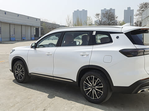 2026�� 290TGDI DCT������ 5��